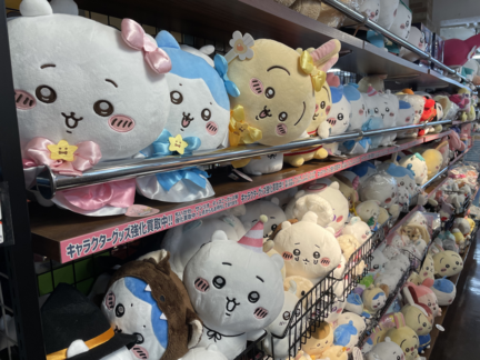 kamoi_3_202502